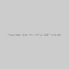 Image of Polyclonal Goat Anti-APOA1BP Antibody